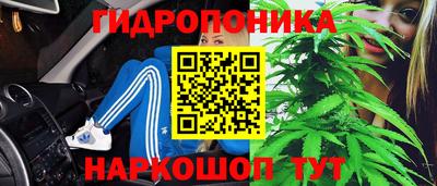 прущие грибы Пушкино